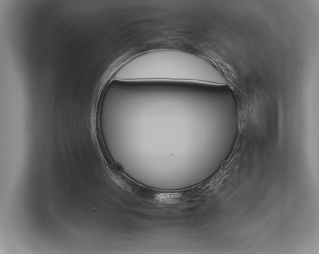 X0000112040051200908031050