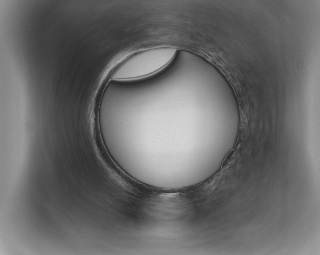 X0000112040054200908031050
