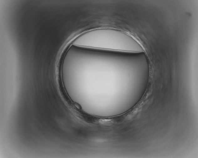 X0000112040055200908031050