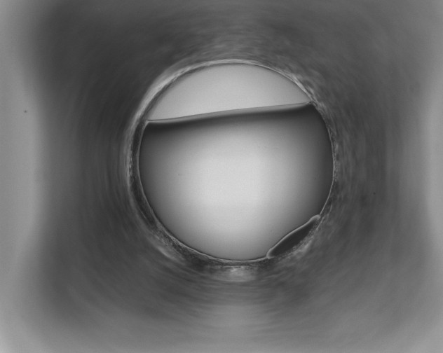 X0000112040056200908031050