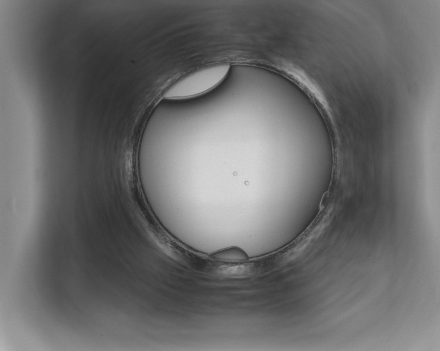 X0000112040057200908031050