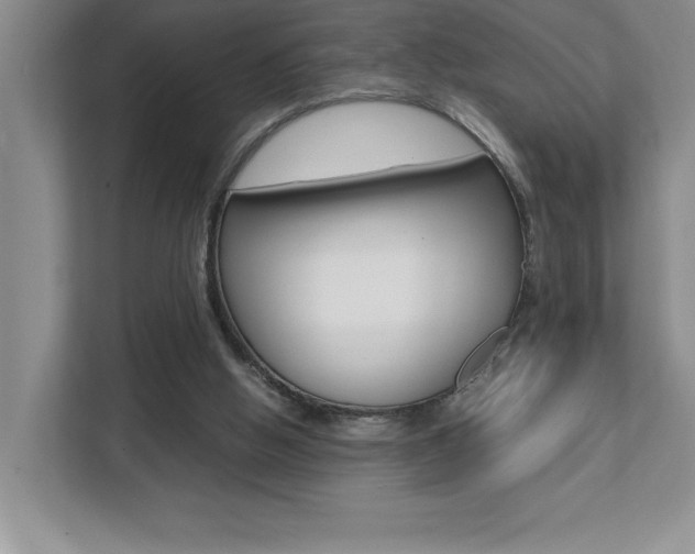X0000112040058200908031050