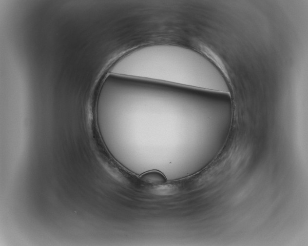 X0000112040059200908031050