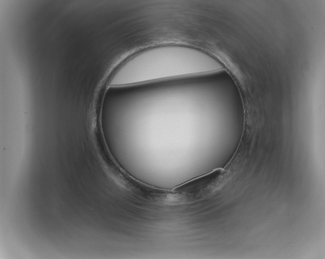 X0000112040060200908031050