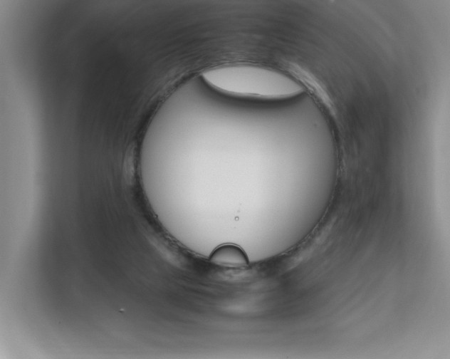 X0000112040065200908031050