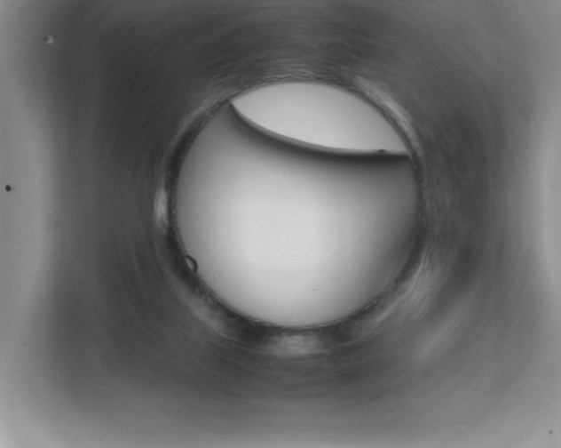 X0000112040067200908031050