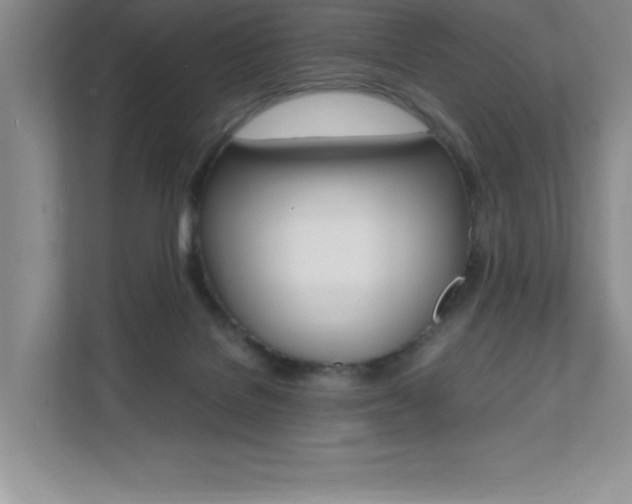 X0000112040076200908031050