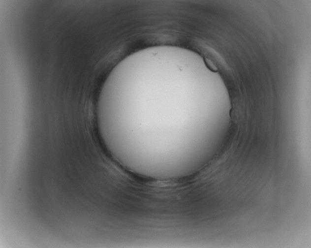 X0000112040077200908031050