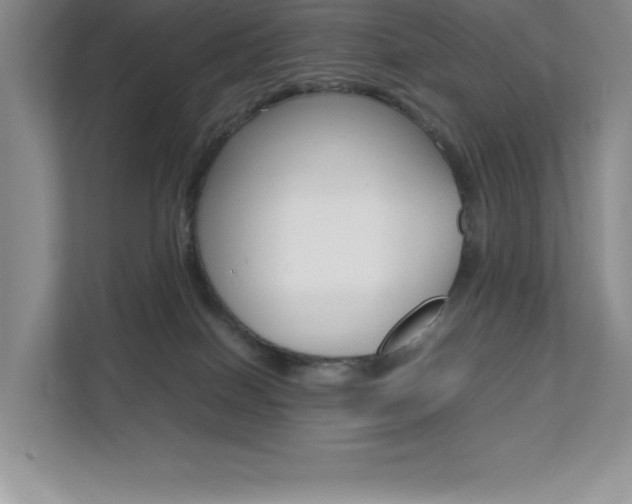X0000112040086200908031051