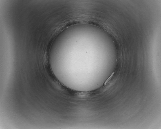 X0000112040088200908031051