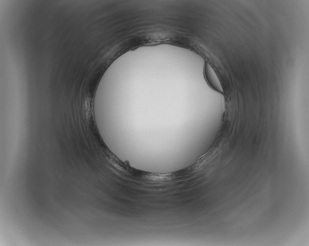 X0000112040093200908031051