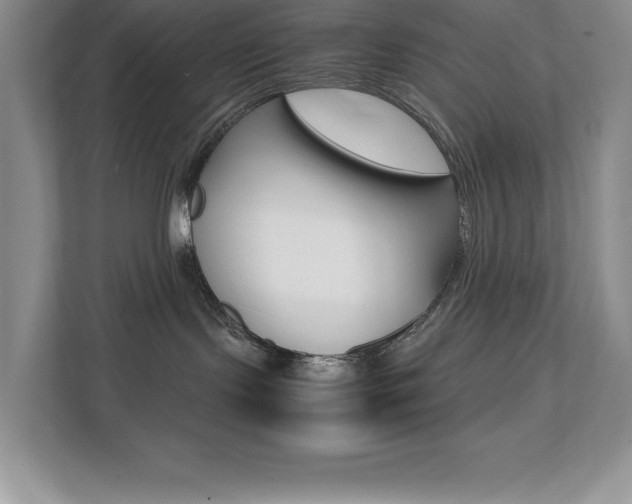 X0000112040095200908031051