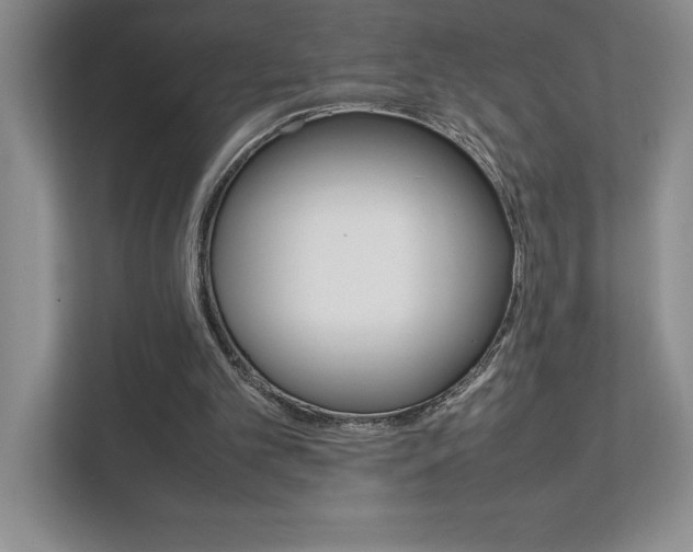X0000112040101200908031050