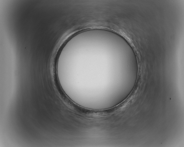 X0000112040103200908031050