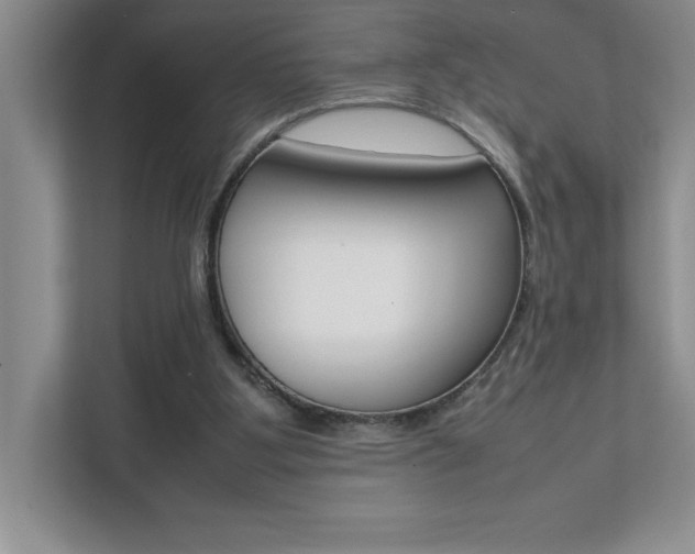 X0000112040107200908031050