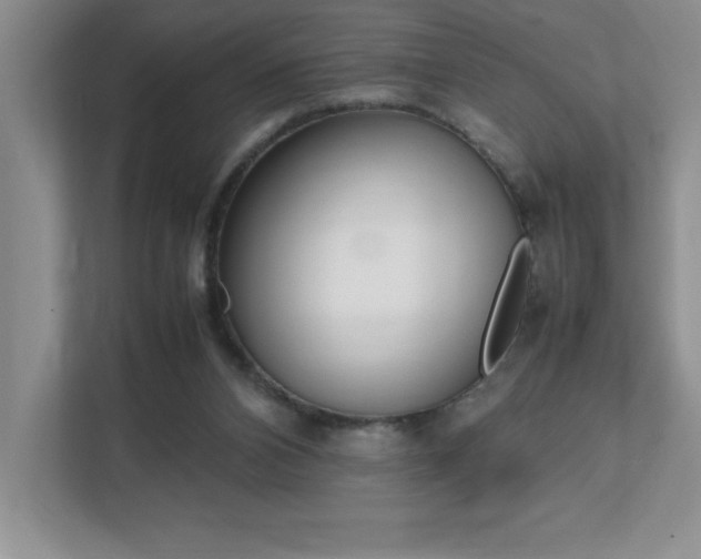 X0000112040112200908031050