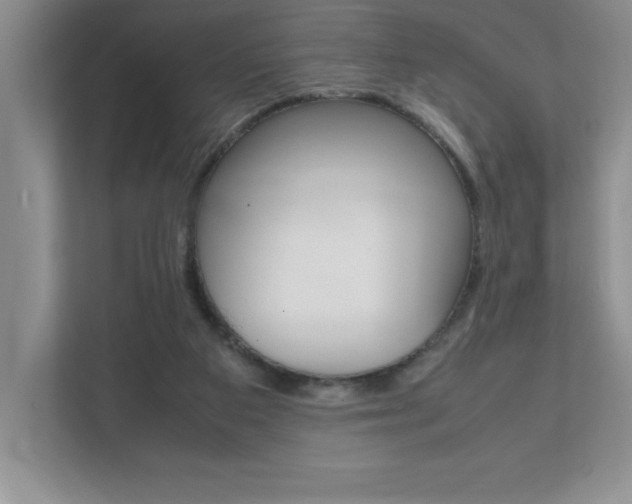 X0000112040113200908031050