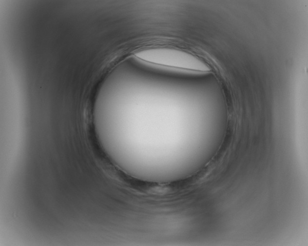 X0000112040119200908031050