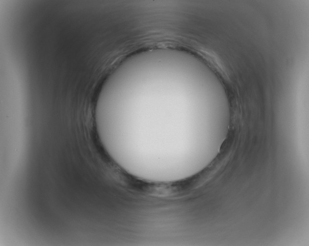 X0000112040121200908031050