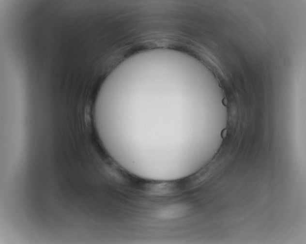 X0000112040122200908031050