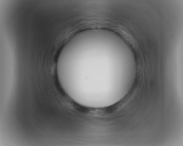 X0000112040125200908031050