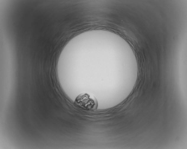 X0000112040129200908031050