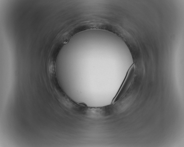 X0000112040137200908031050