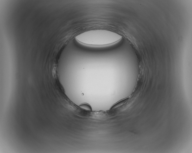 X0000112040141200908031050