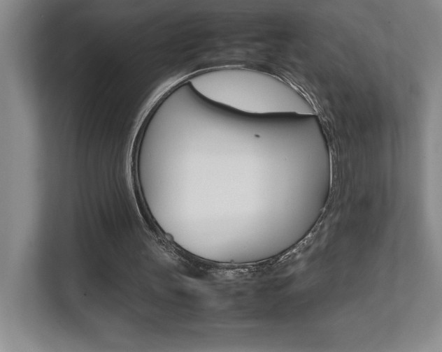 X0000112040147200908031049