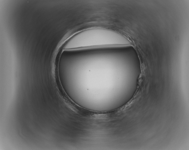 X0000112040150200908031049
