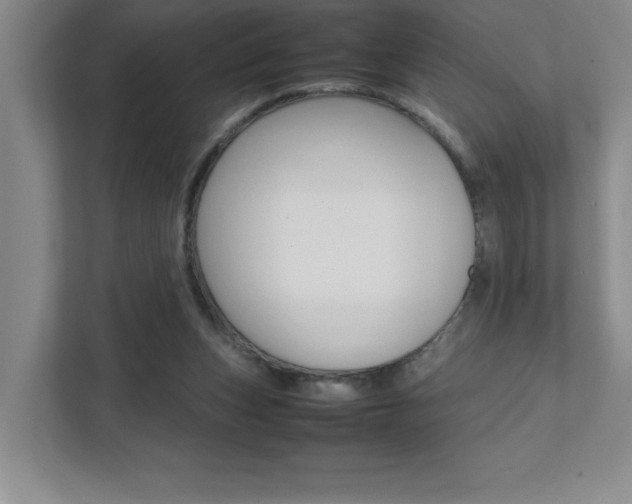 X0000112040159200908031049