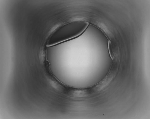 X0000112040160200908031049