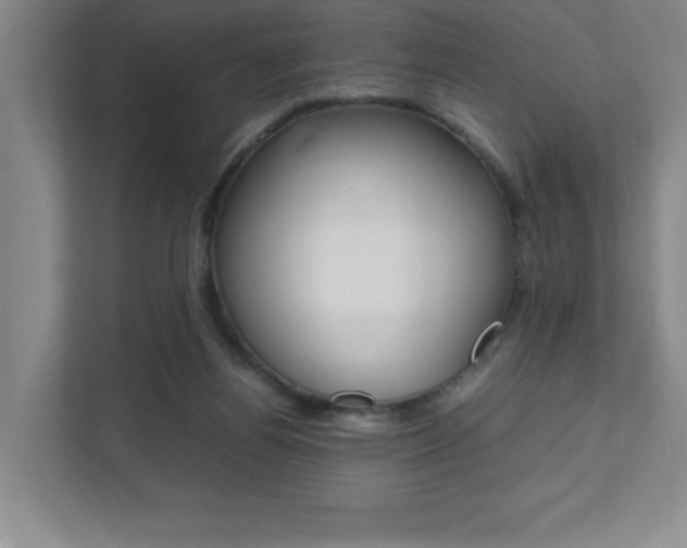 X0000112040164200908031049