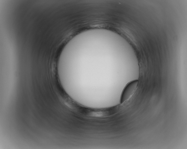 X0000112040171200908031049