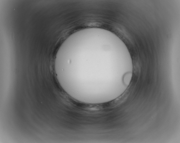 X0000112040175200908031049