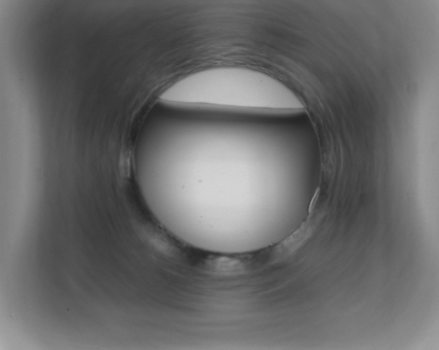 X0000112040180200908031049