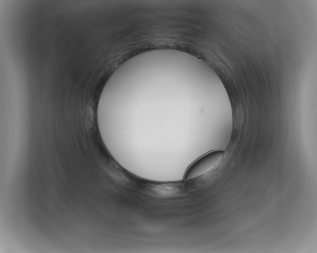 X0000112040183200908031049