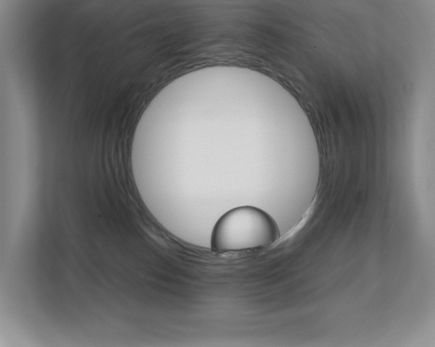 X0000112040186200908031049