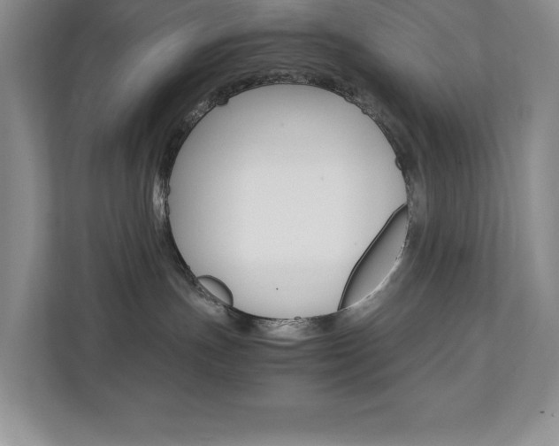 X0000112040191200908031049