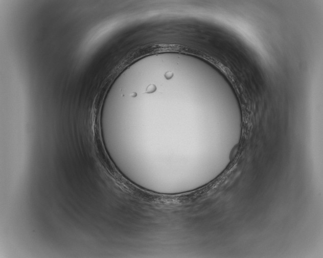 X0000112040194200908031049