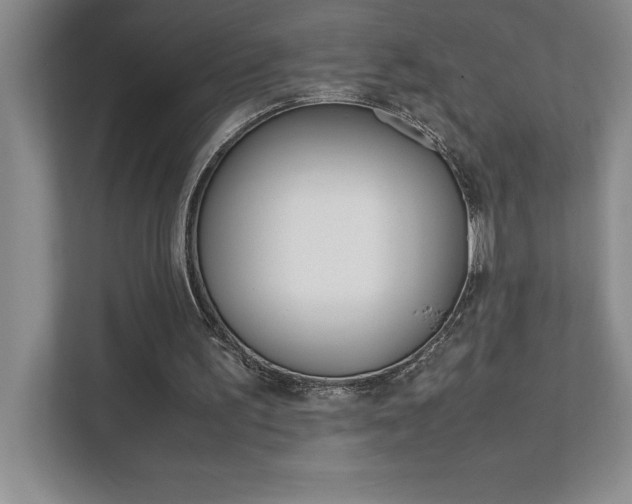 X0000112040195200908031049