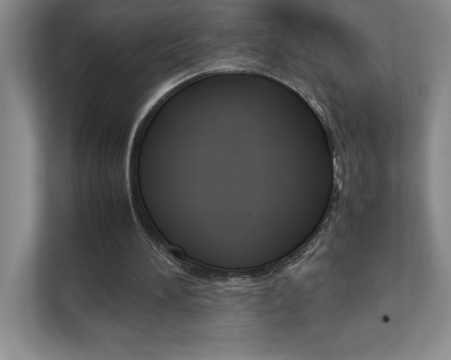 X0000112040196200908031049