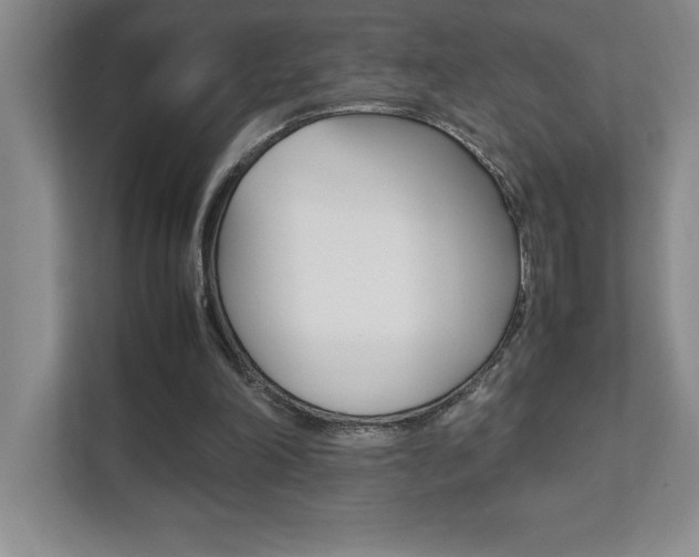 X0000112040198200908031049