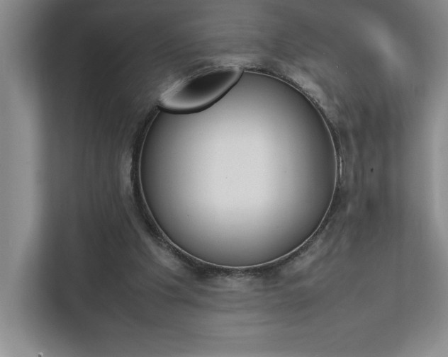 X0000112040201200908031049