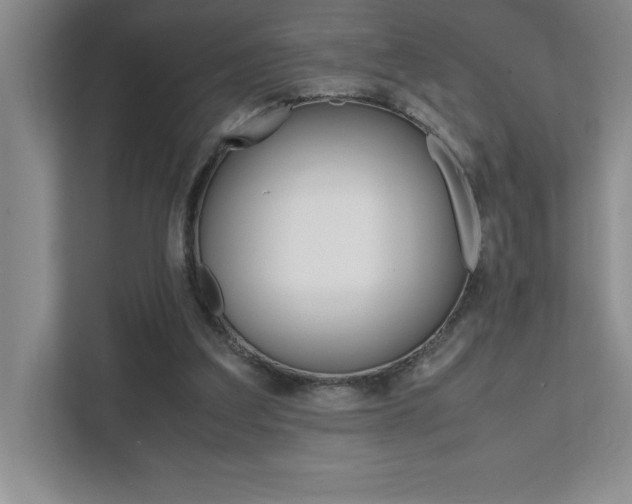 X0000112040203200908031049