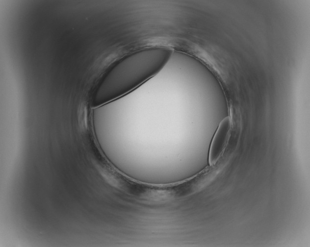 X0000112040205200908031049