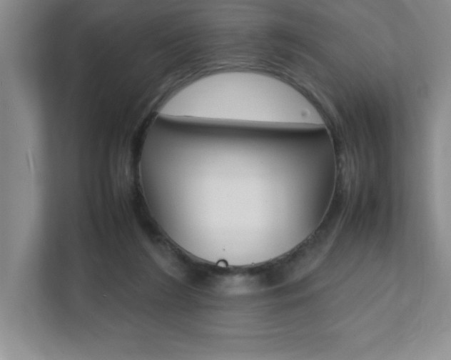 X0000112040212200908031049
