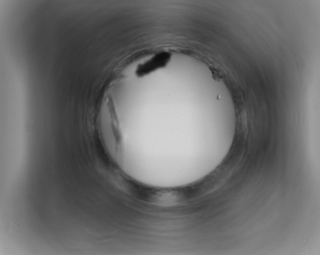 X0000112040218200908031049