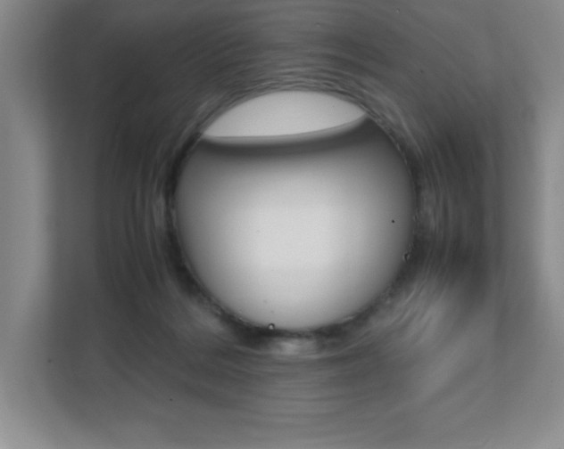 X0000112040220200908031048
