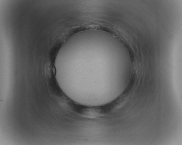 X0000112040223200908031048